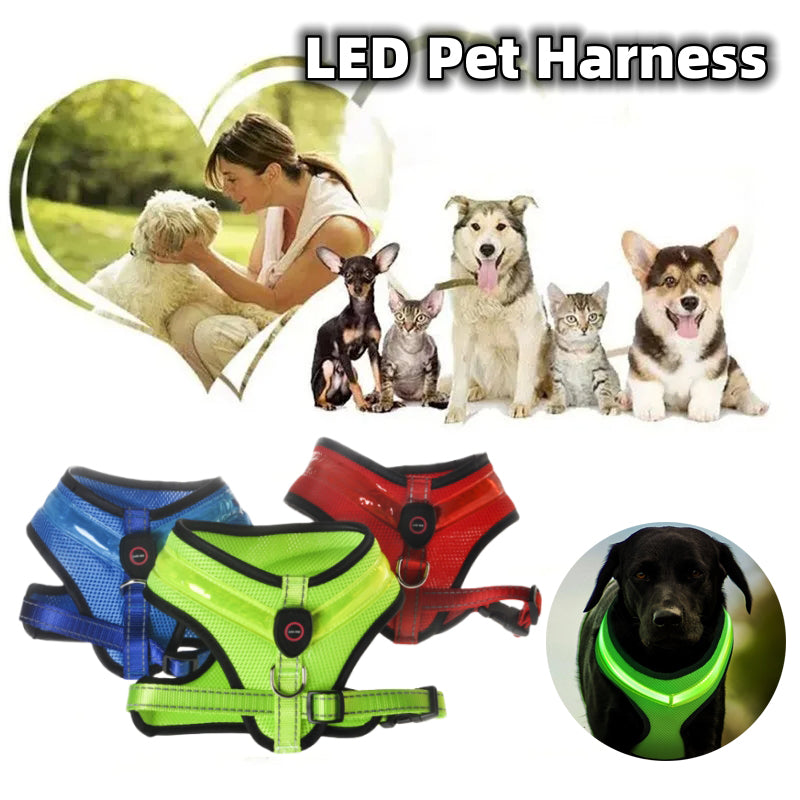 LED Dog Harness – USB Rechargeable & Reflective