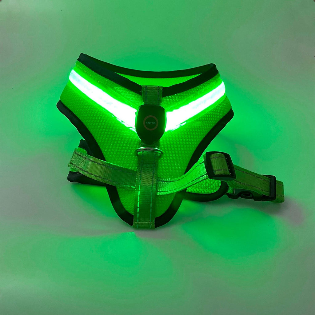 LED Dog Harness – USB Rechargeable & Reflective