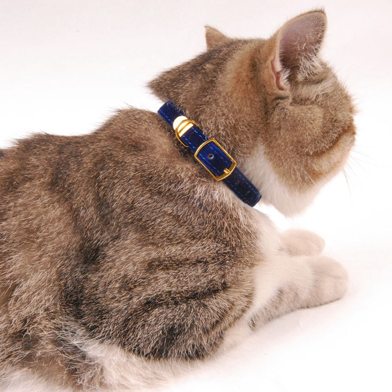 Verstelbare kattenhalsband met gesp – stijlvol en comfortabel