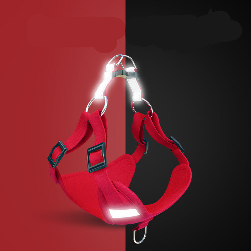 Reflecterend Harnas met Riem voor Hond