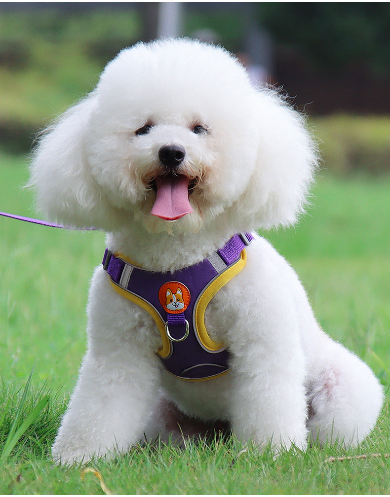 Ademend hondentuig met riem – zacht en comfortabel