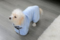 Sneldrogende Microvezel Handdoek voor Honden
