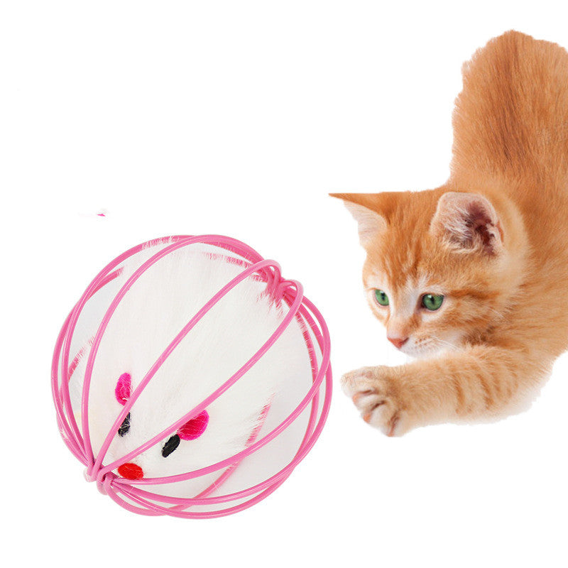 Interactief kattenspeelgoed – kleurrijke speelballen