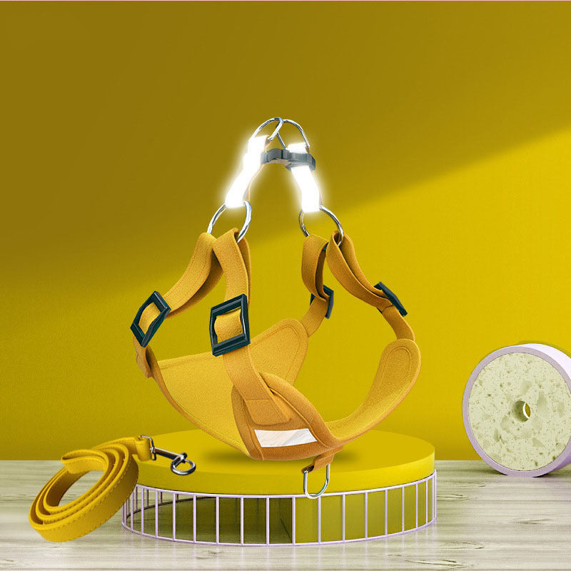 Reflecterend Harnas met Riem voor Hond