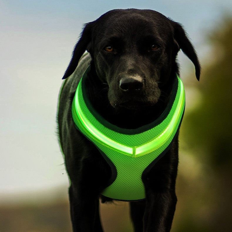 LED Dog Harness – USB Rechargeable & Reflective