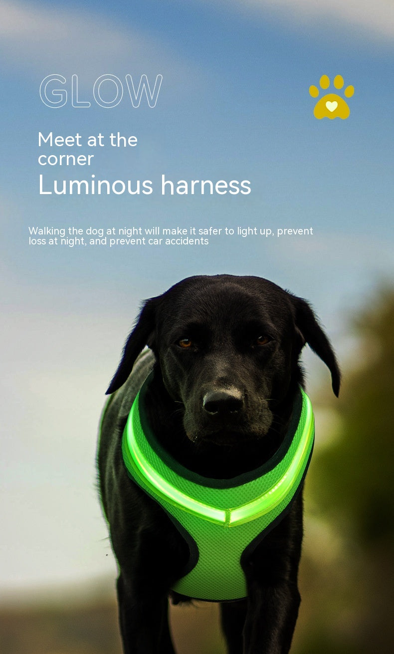 LED Dog Harness – USB Rechargeable & Reflective