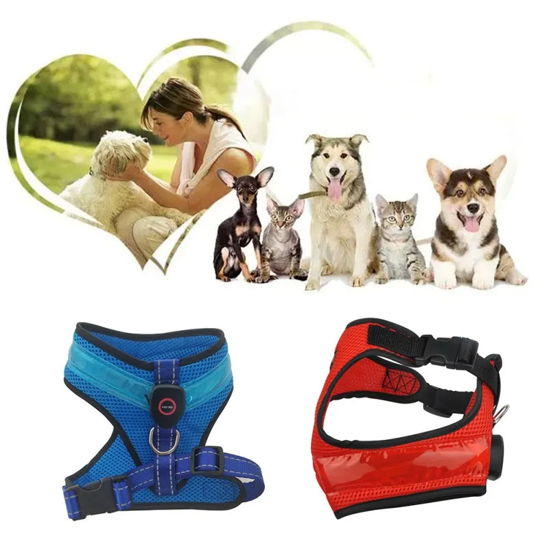 LED Dog Harness – USB Rechargeable & Reflective